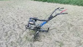 Робота мотоблока ДТЗ 570БН-М2. Обробка землі під зелені добрива.