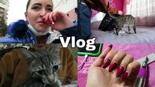 КАСТРАЦИЯ МОЕГО КОТА / КАК ОН ПЕРЕНЕС ? VLOG Ayka Emilly