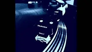 Terra Wan - De Puta Madre (Original Bass Bumpers Mix) 1992