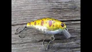 Review and Underwater Footage of the TsuYoki Chef 38F Crankbait