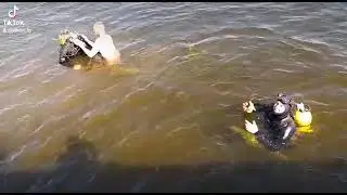 Прикол