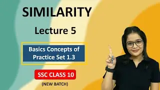 Similarity, Lect 5 | Basics Of Practice Set 1.3 | SSC Class10th Geometry | New Batch | Drashti Gada