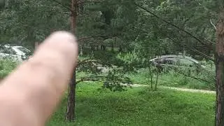 город Красноярск превратили в помойку ..