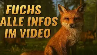 🎯 Der erste Tag in der Wildnis beginnt – und die Jagd ist eröffnet!