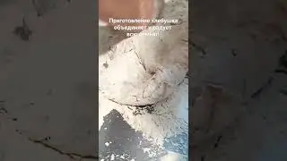 Хлеб на закваске может готовить вся семья 