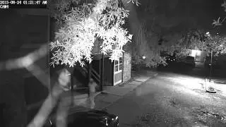 Surveillance Video Released in Duval Street Homicide
