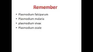 Antimalarial treatment (media of pharmacology)