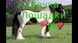 LisaWolf | Покупка лошадей | Шайр | Часть 2