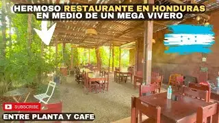 In HONDURAS there's a CAFE in the middle of a Nursery 🤩🇭🇳