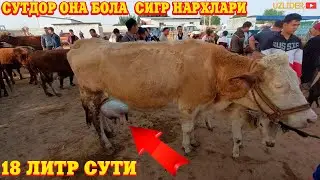 СУТДОР ОНА БОЛА СИШР  НАРХЛАРИ ХОРАЗМ МОЛ БОЗОРИ  25-МАЙ