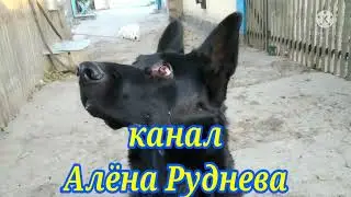 Влог. Крольчата подрастают. Наша погода. Немного нашей жизни.