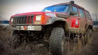 Последний гриб