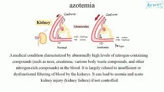 azotemia