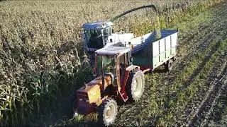 kukurydza na usługach 2022r Claas 690 (ujęcia z drona)