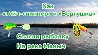 How Tail-Spinner and Turntable Saved Fishing / Fishing on the Manych River / Catching Autumn Perc...