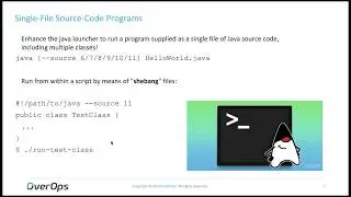 OverOps Webinar: Java 11 First Impressions
