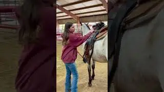 Beginner Vs. Experienced Horse Riders! (Grandma Edition) 