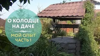 Колодец на даче: как найти место, воду и обустроить сам колодец. Делюсь личным опытом. Часть 1