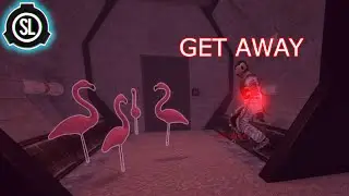 SCP:SL The power of the flamingos