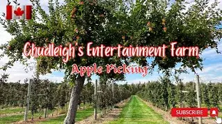 Apple Picking / Chudleigh