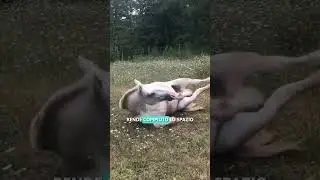 NON cercare di trasformare gli altri...