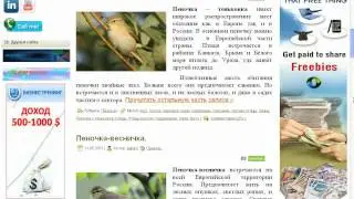 Постраничная навигация Wordpress.