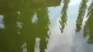 27 марта 2017 г.