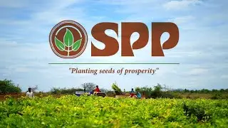 SPP REDSANDAL PLANTATIONS | Sai Properties & Projects Ltd |