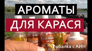 Crucian carp fishing in August with a float rod! Zelenogradsk