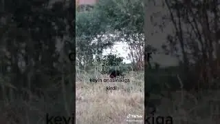 2 qism  uz erkag  qoqishdi  foxisha  gey