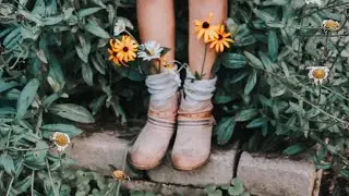 Collection of Relaxing Songs | Songs for you