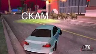 Backwardz crew Scam Shit