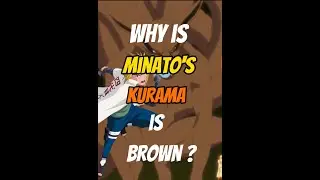 Why is minato's kurama is brown ? 