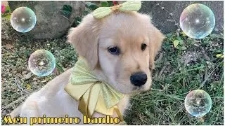DEI PRIMEIRO BANHO NA JADE !!!