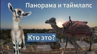 Панорама и таймлапс в турецком отеле #панорама #таймлапс #djiosmopocket3  #djiosmoaction4