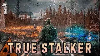 Абсолютно Другой Сталкер - TRUE STALKER #1