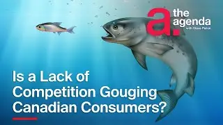 Is a Lack of Competition Gouging Canadian Consumers? | The Agenda