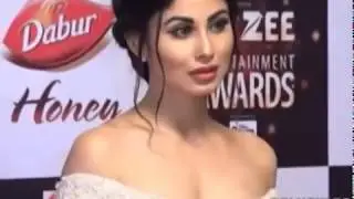 Red Carpet of Zee Entertainment Awards 2017