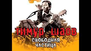 ТИМУР ШАОВ - Авиакомпании 