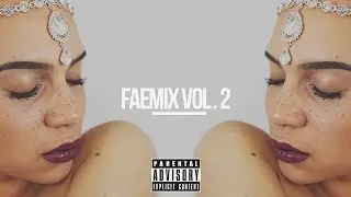 FAEMIX VOL.  2