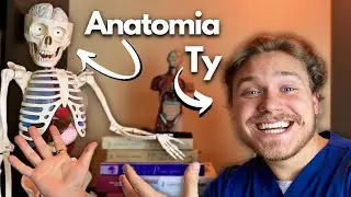 Jak Uczyć Się Anatomii Łatwo i Przyjemnie | Studia Medyczne w Pigułce 💊