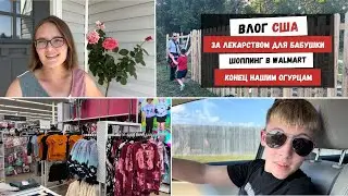 За Лекарством для Бабушки | Шоппинг в Walmart | Конец Нашим Огурцам | Наша Жизнь в Штатах