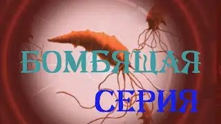 Plague Inc: Evolved❦Бомбящая серия...❦#5