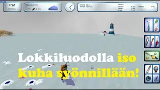 Pro Pilkki 2 Isoa kuhaa lokkiluodolta.