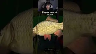 Мем из Тик Тока 