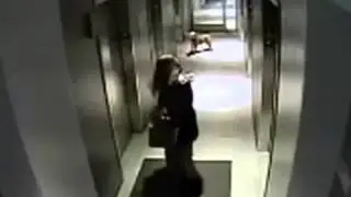 Собака чуть не умерака