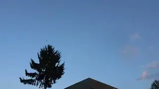 Colonie Toverfluit: ça sent le départ...