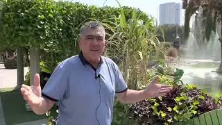 В гостях  у Наставника в Дубае!