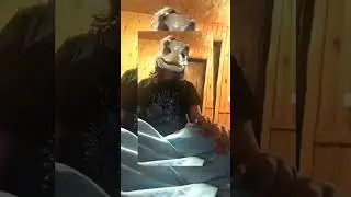 Untitled video