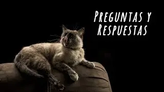 Preguntas y Respuestas Iluminación de botellas